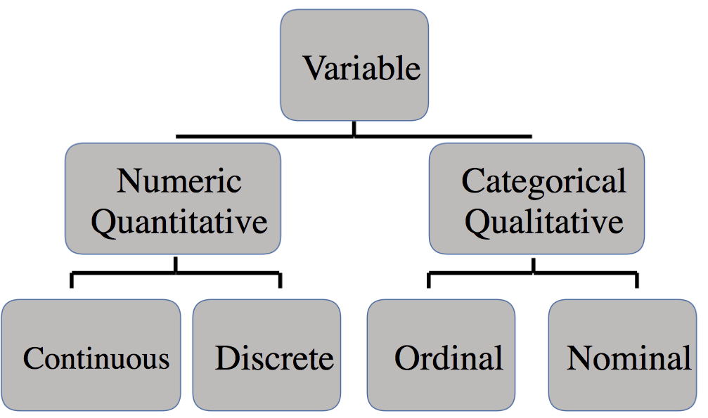 Variable Types